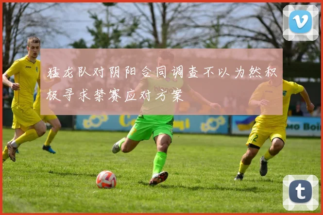 猛龙队对阴阳合同调查不以为然积极寻求禁赛应对方案
